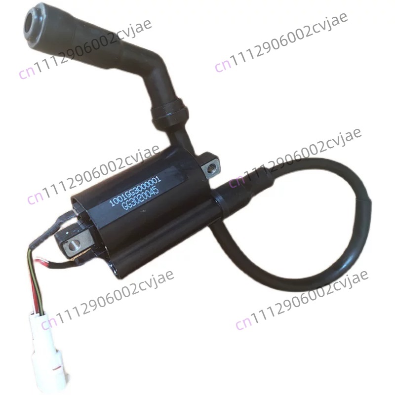 ZT310-V X T R1 2 Motorcycle Hi - đánh giá và giá Motorcycle Spark Plug