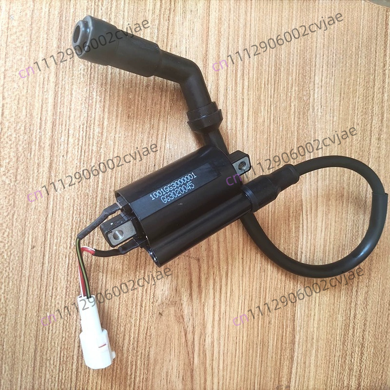 ZT310-V X T R1 2 Motorcycle Hi - đánh giá và giá Motorcycle Spark Plug
