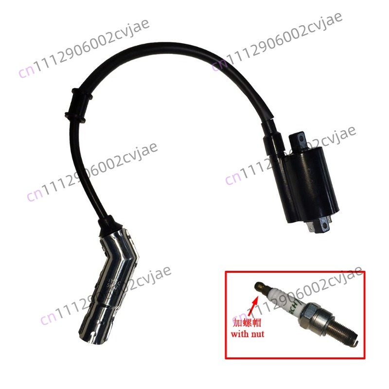 ZT310-V X T R1 2 Motorcycle Hi - đánh giá và giá Motorcycle Spark Plug